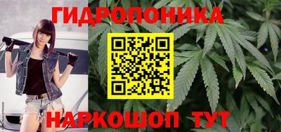 ECSTASY Камышлов