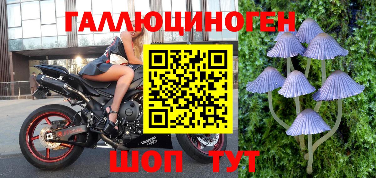 Псилоцибиновые грибы Psilocybine cubensis  Галлюциногенные грибы Psilocybe  Кувандык  Вход с VPN 